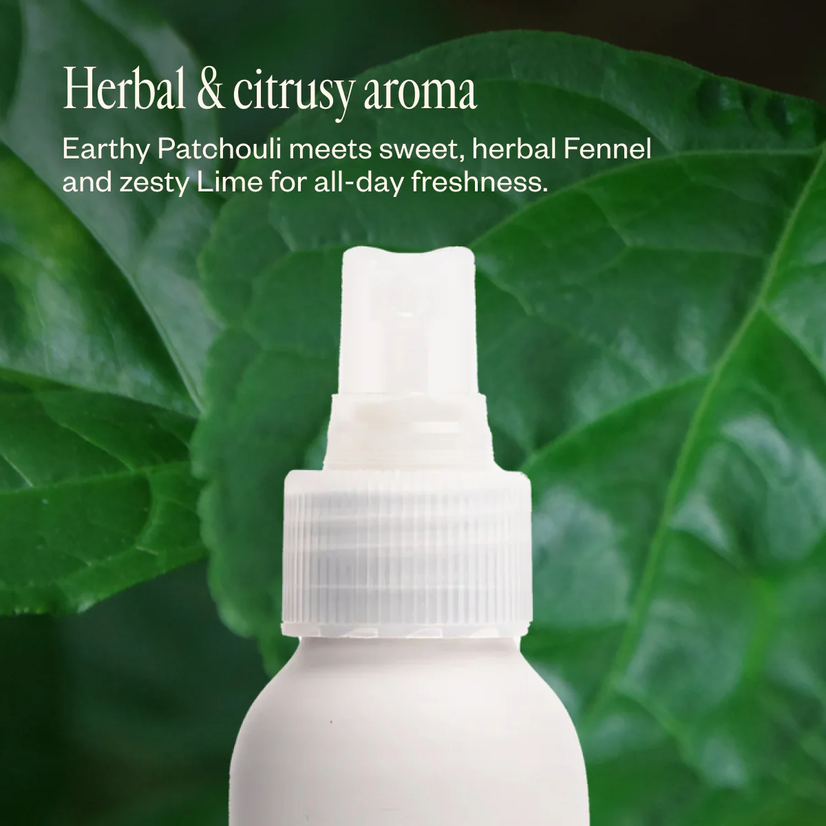 Natural Deodorant Trio - Image 5