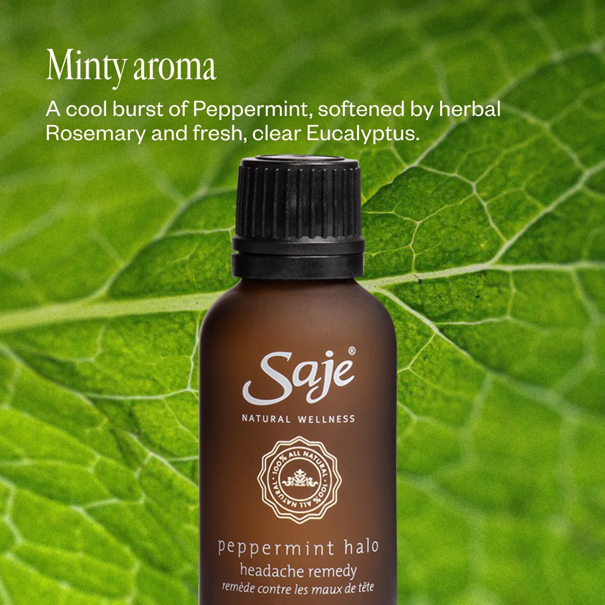 Peppermint Halo® - Image 5