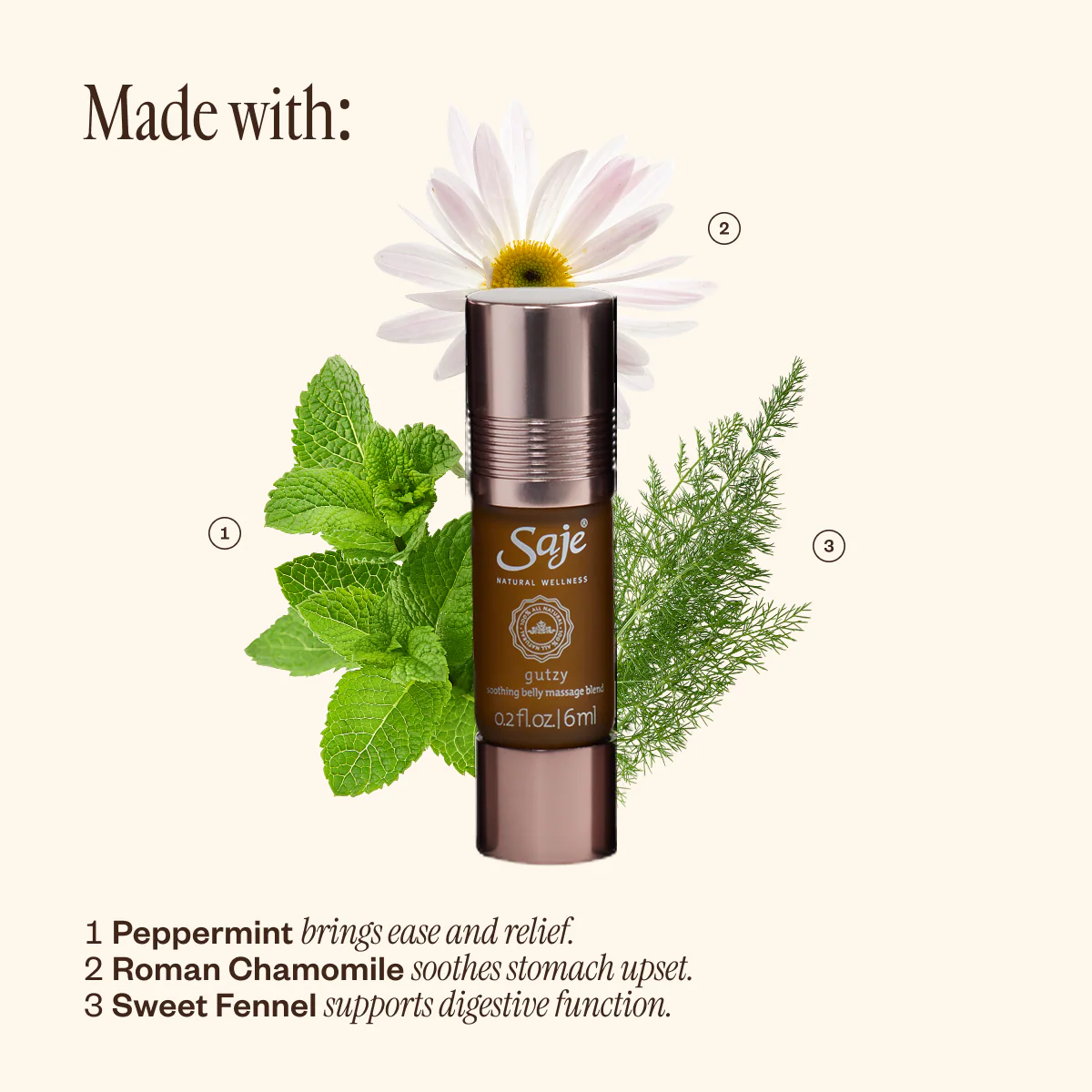 Pocket Farmacy® Physical Edition - Image 7
