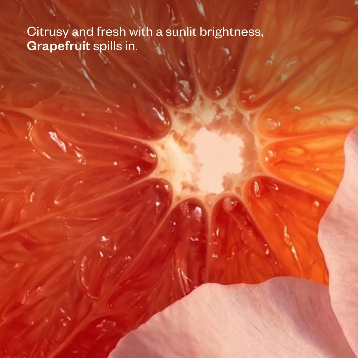 Present Moment - Image 5