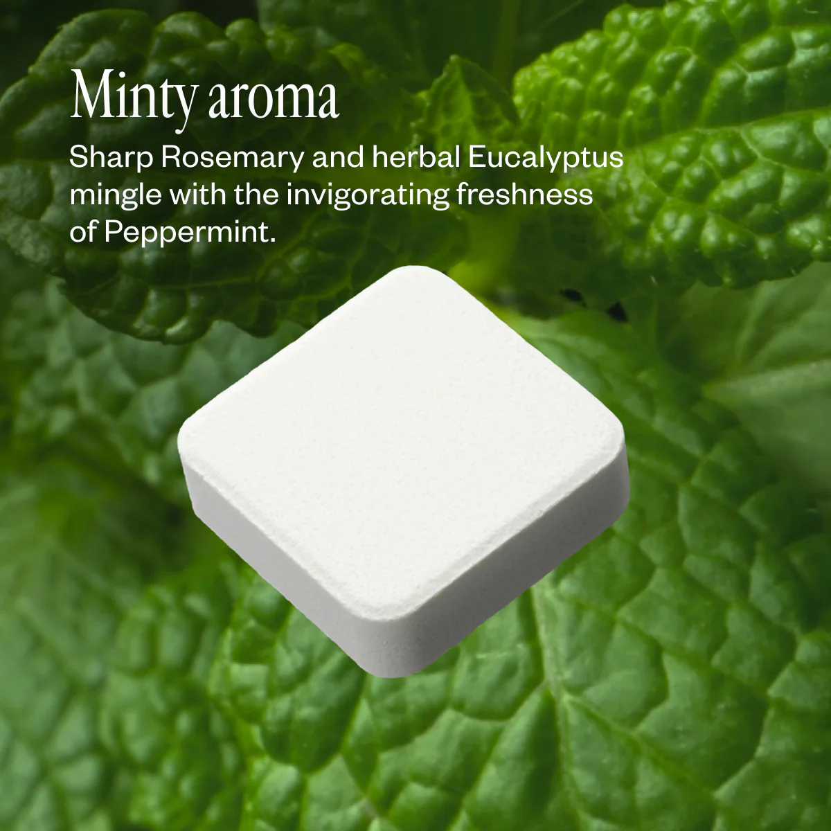 Refreshmint Trio - Image 5