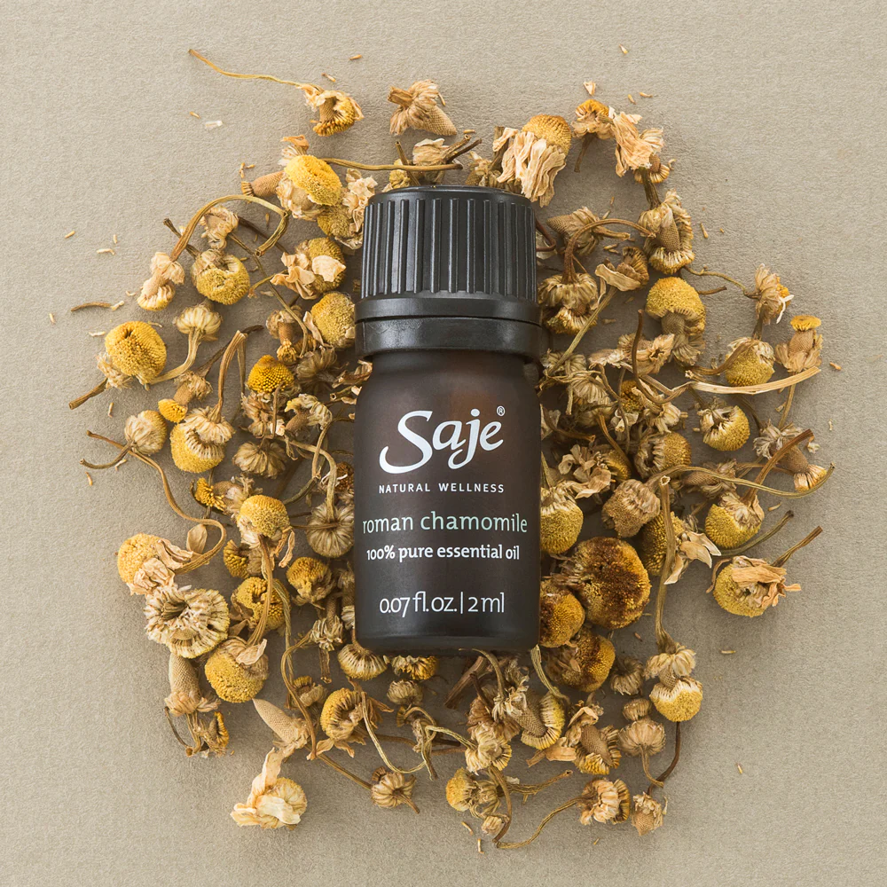 Roman Chamomile Oil - Image 3