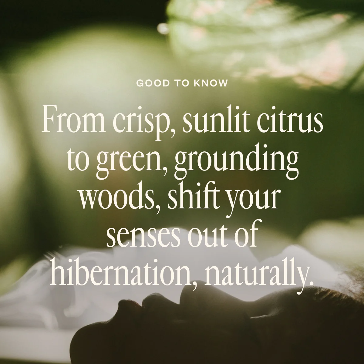 Shift Into Spring Duo - Image 2