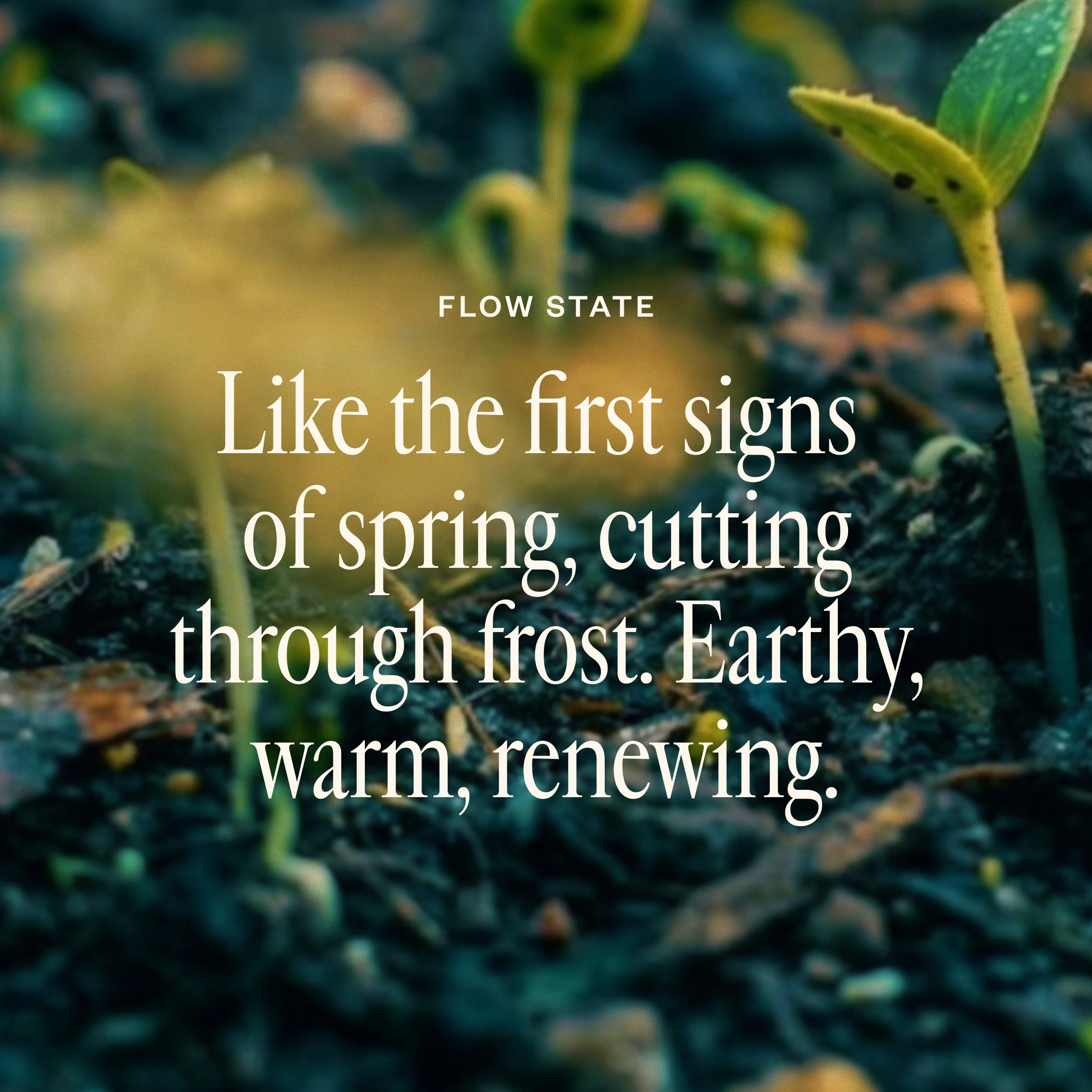 Shift Into Spring Duo - Image 3