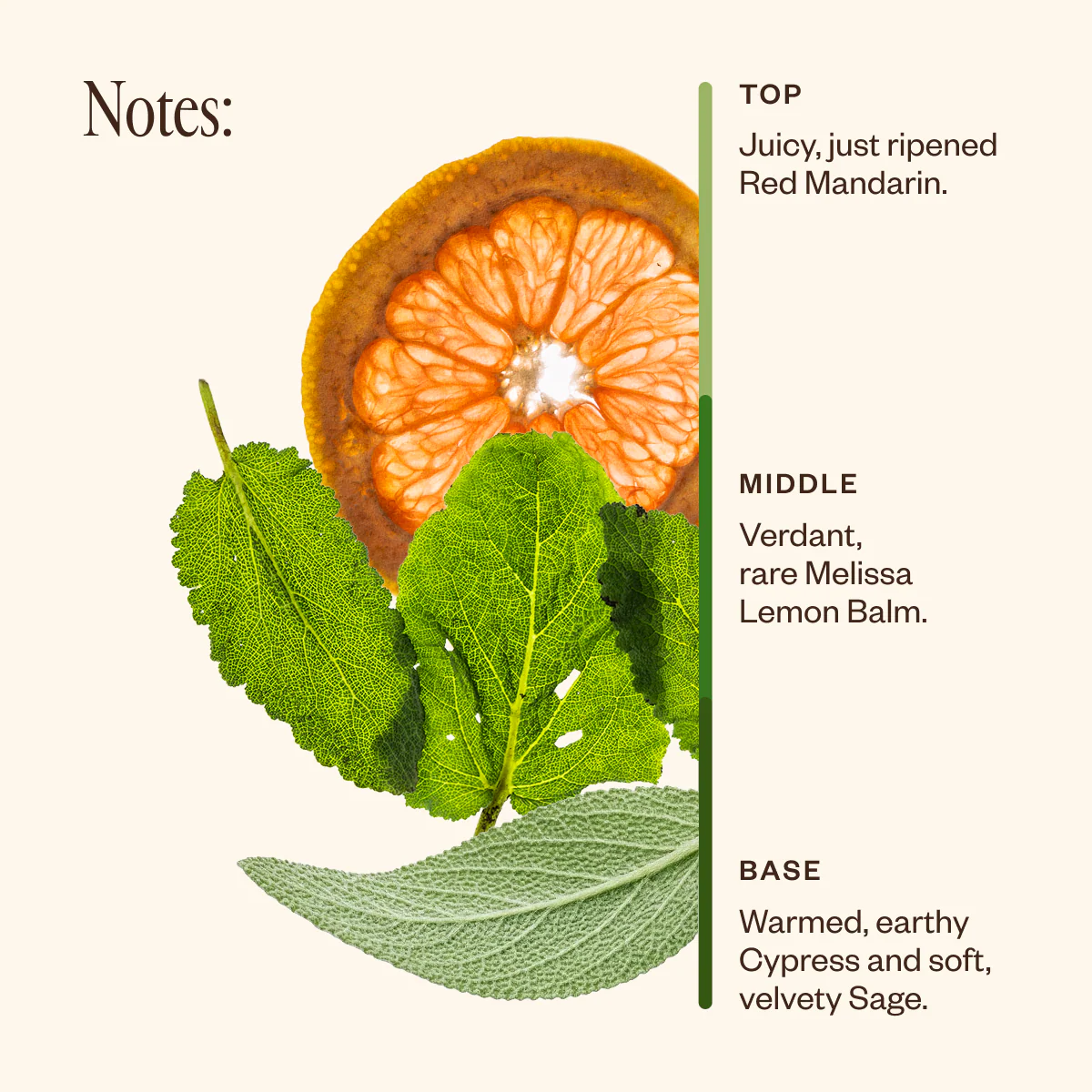 Shift Into Spring Duo - Image 4
