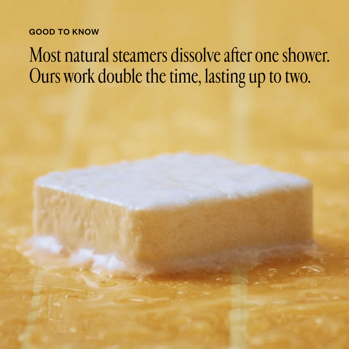 Squeeze the Day - Image 4