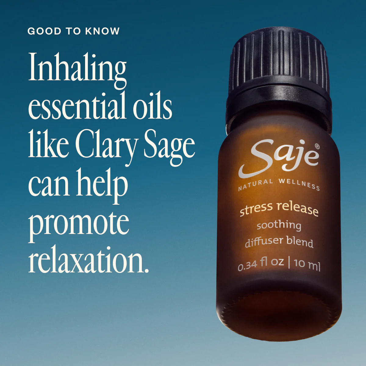 Stress Release - Image 2