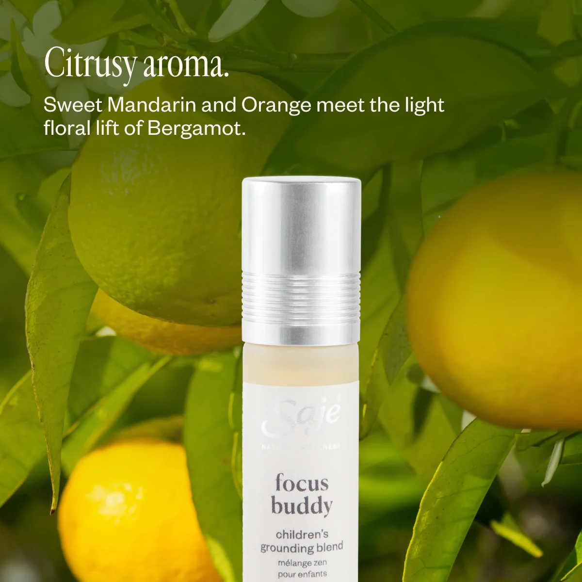 Sunny Mood - Image 5
