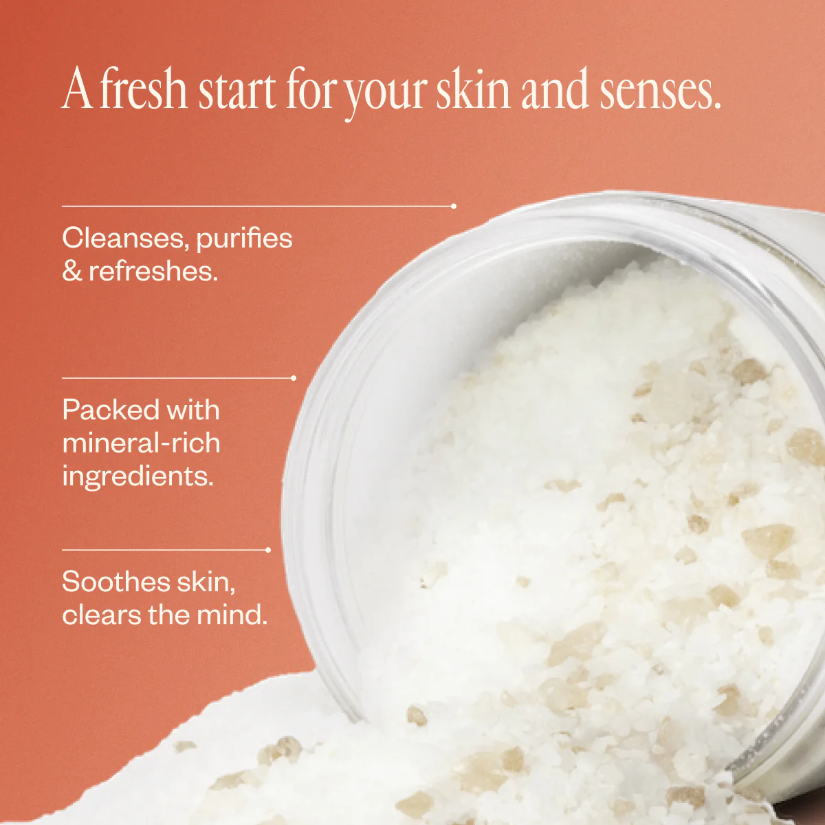 Super Cleanse - Image 3
