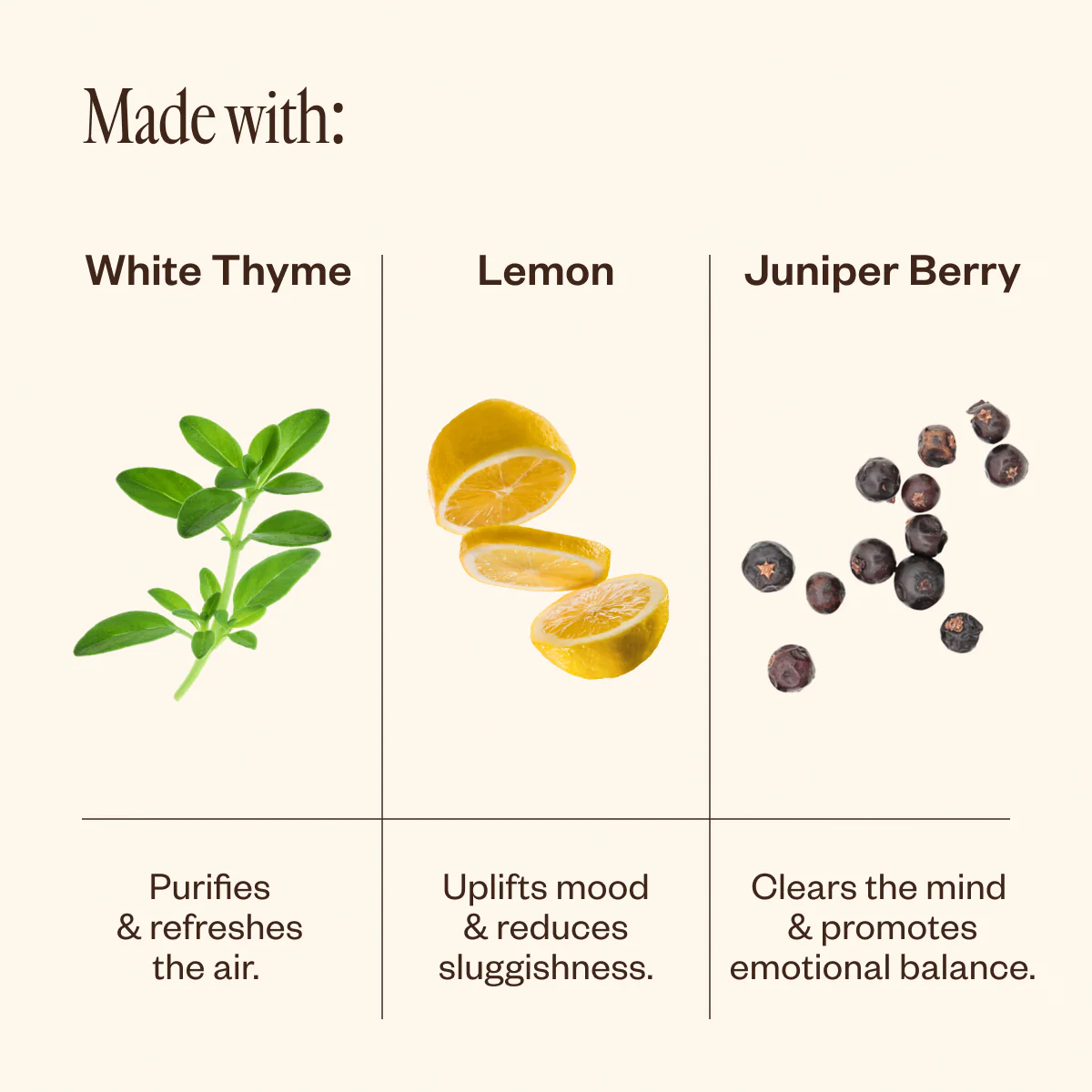 Super Cleanse - Image 4