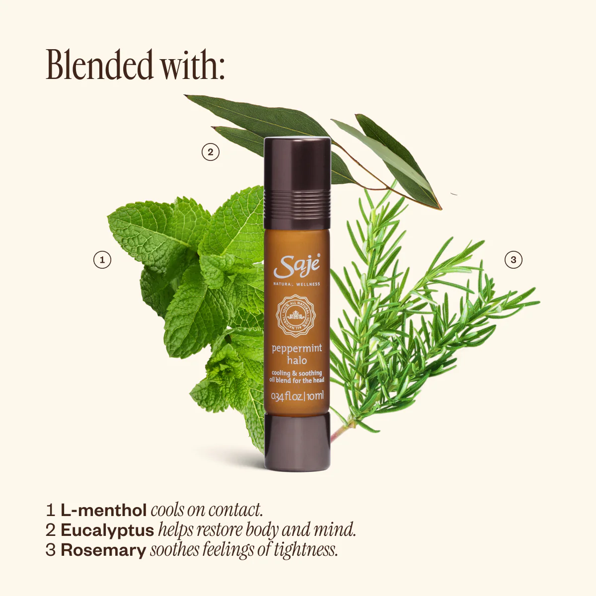 The Extra Coverage Duo - Image 5