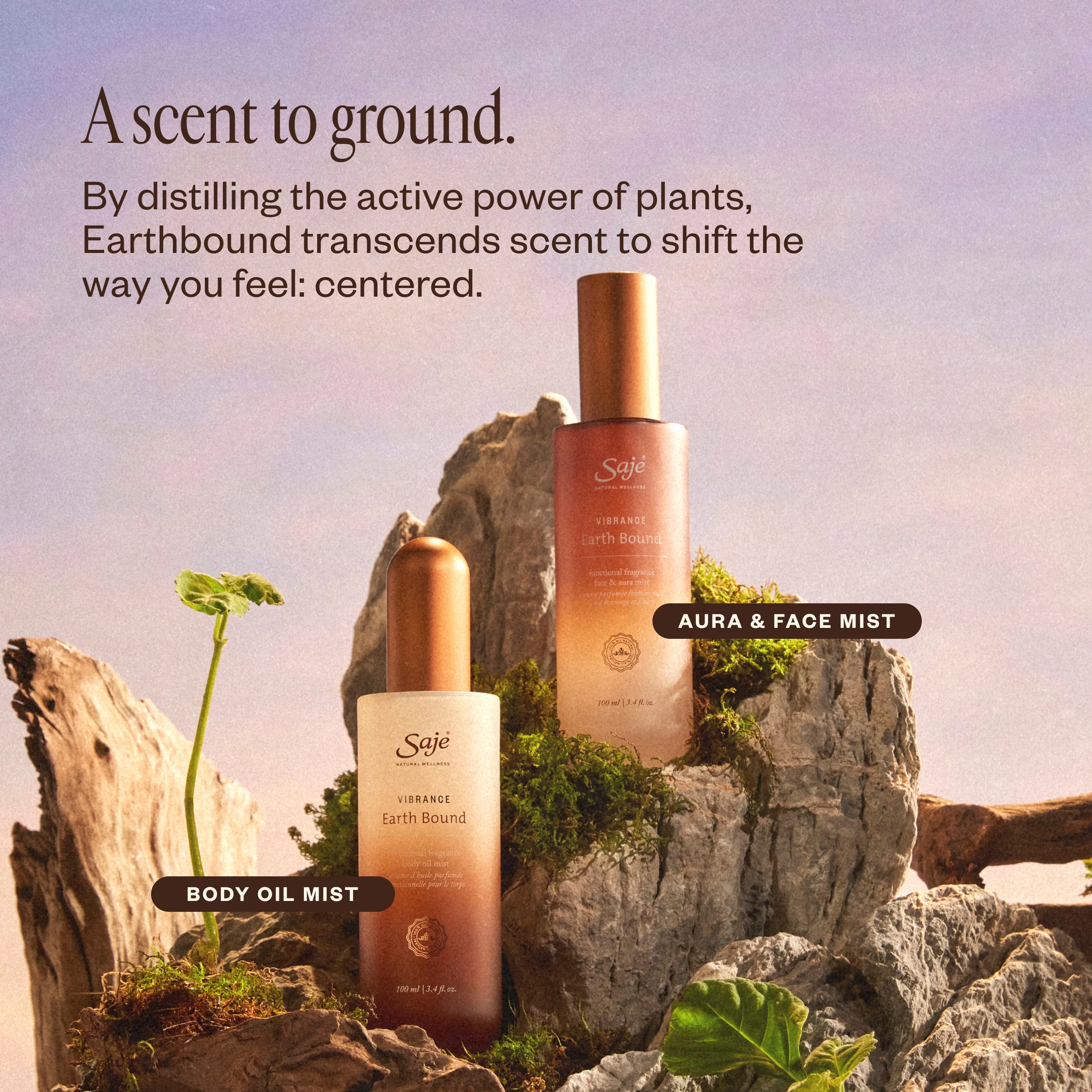 Vibrance Earth Bound - Image 6