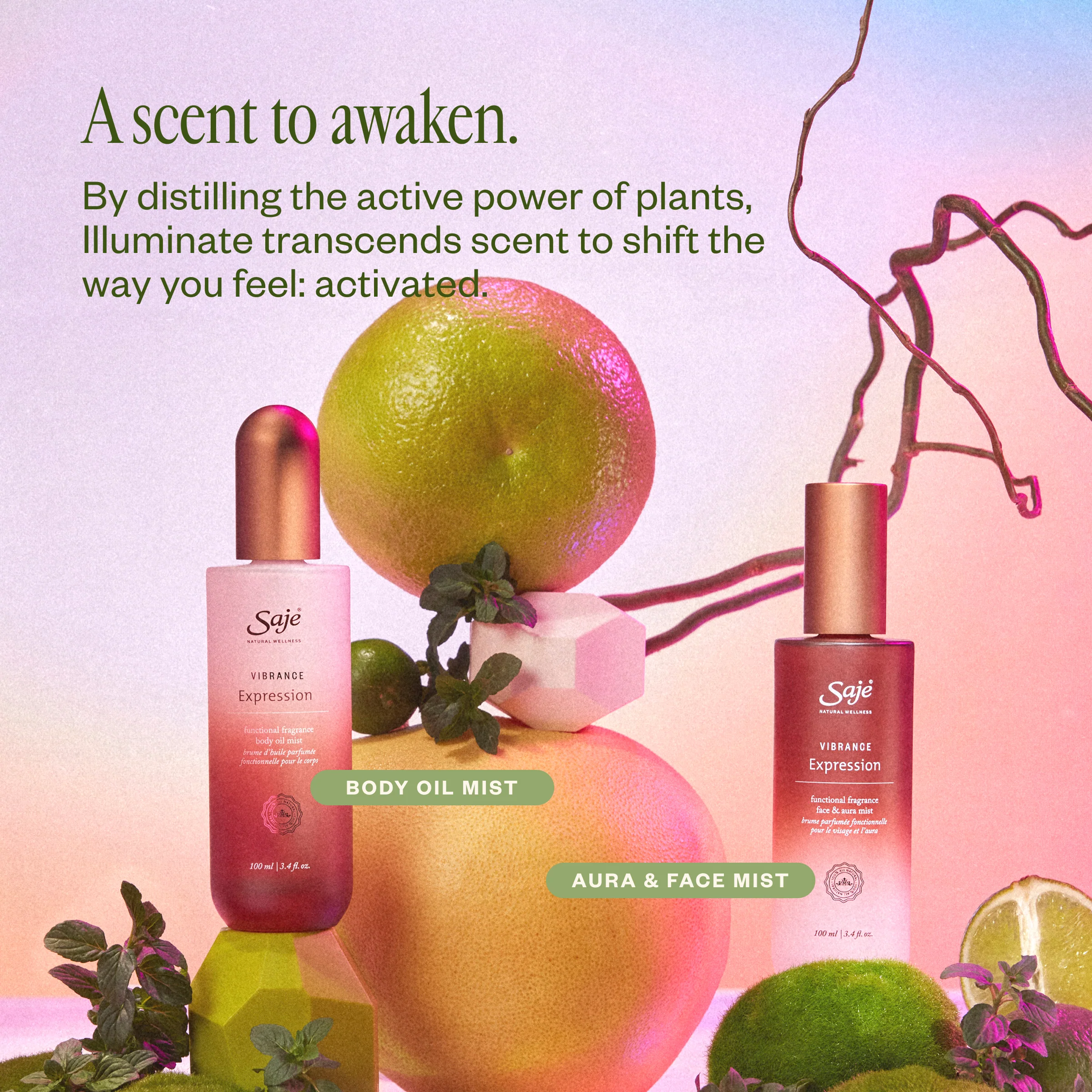 Vibrance Expression - Image 6
