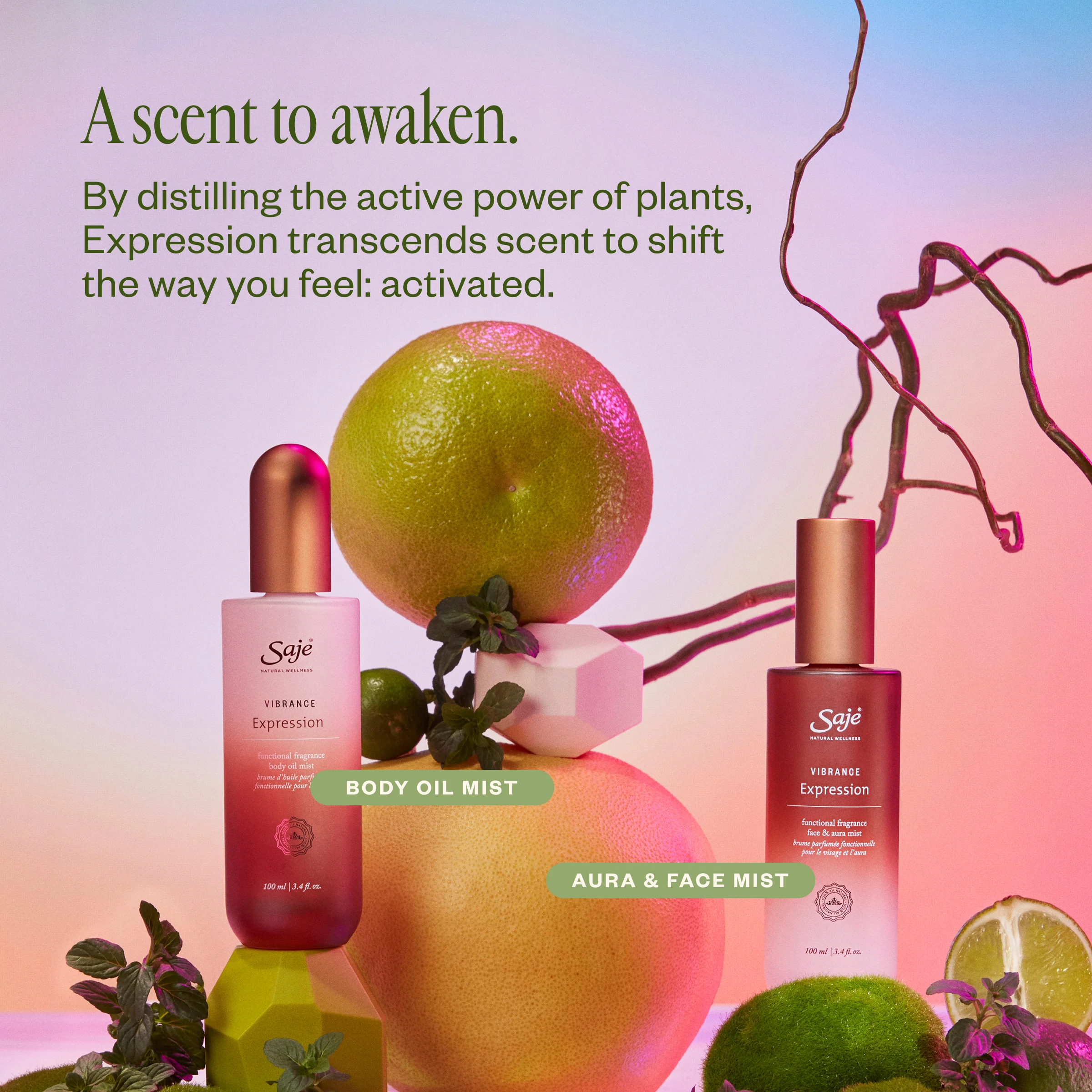 Vibrance Expression - Image 5