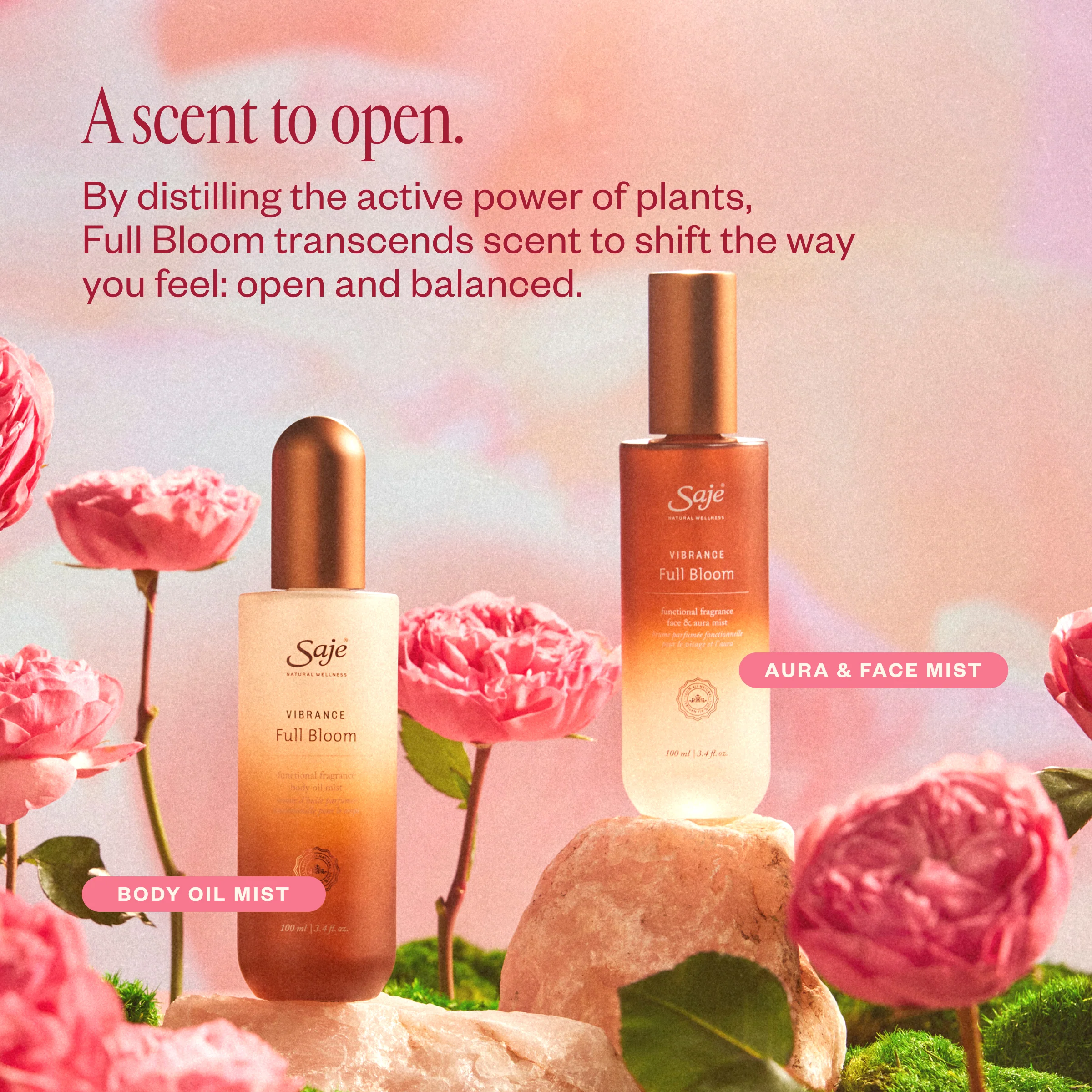 Vibrance Full Bloom - Image 6