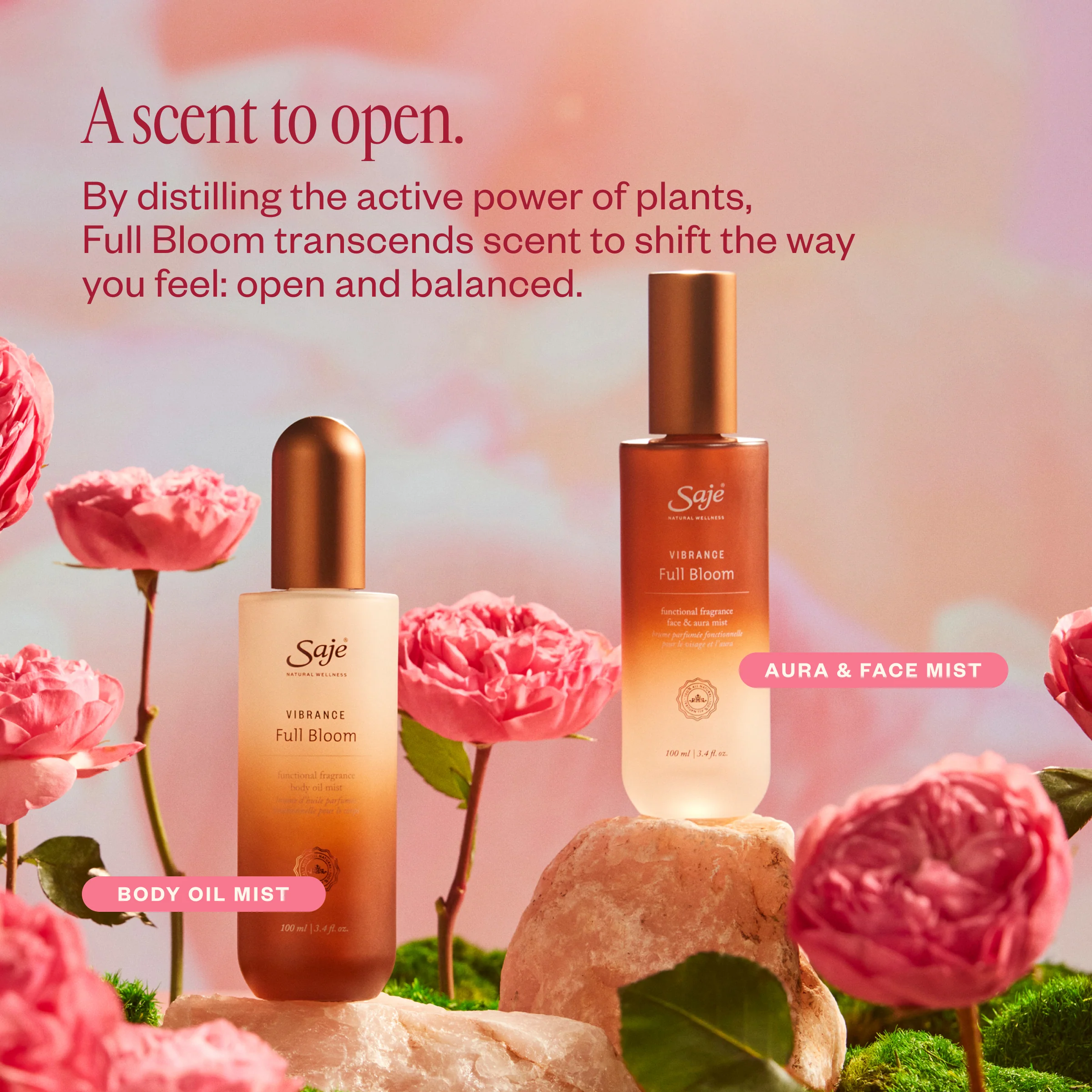 Vibrance Full Bloom - Image 5