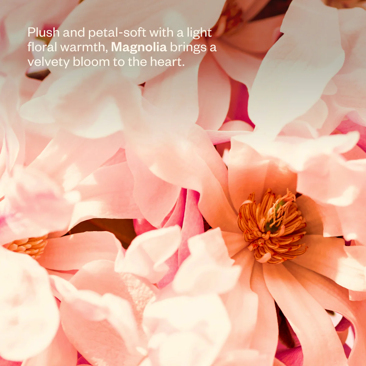 Wanderlust - Image 5
