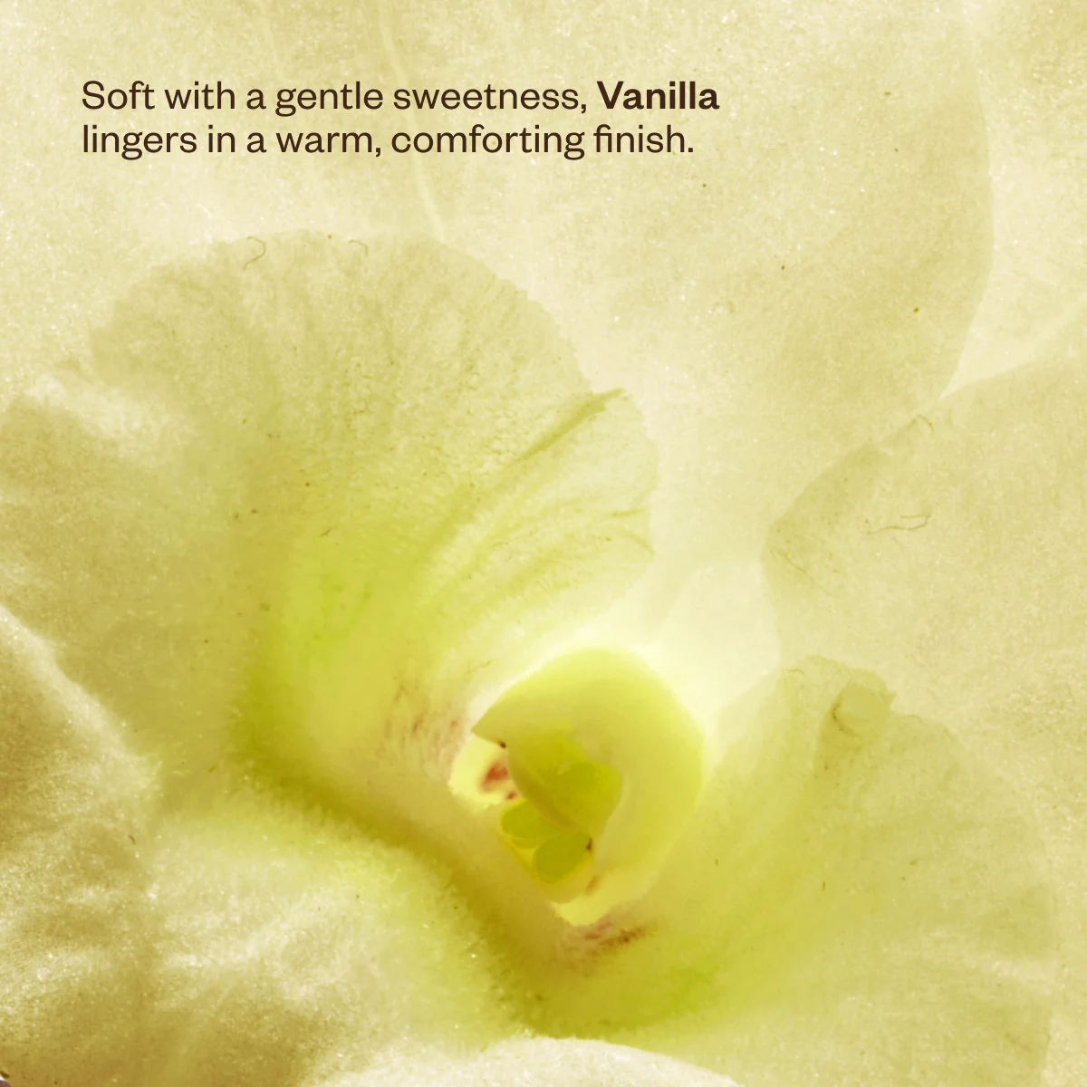 Wanderlust - Image 6