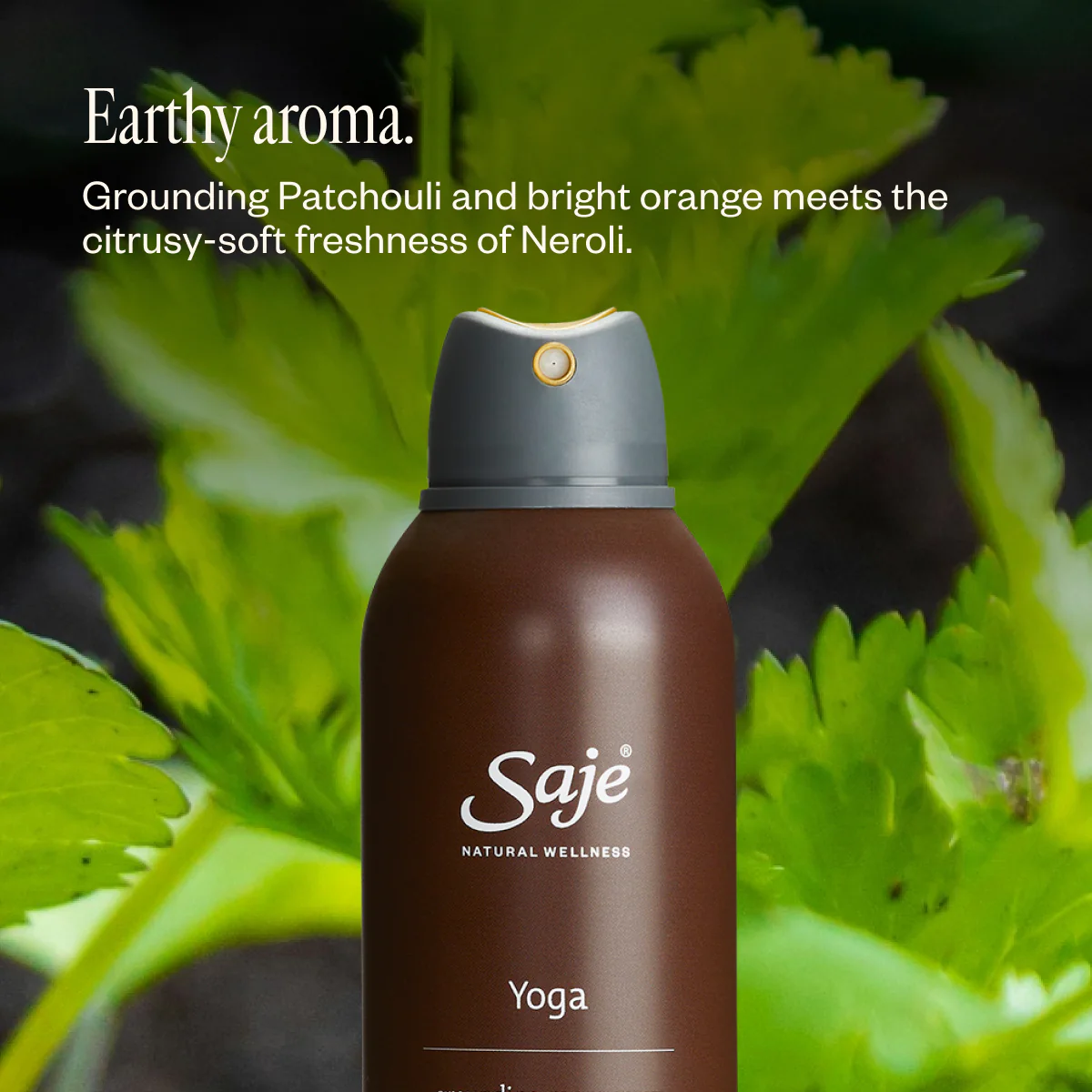 Yoga - Image 5
