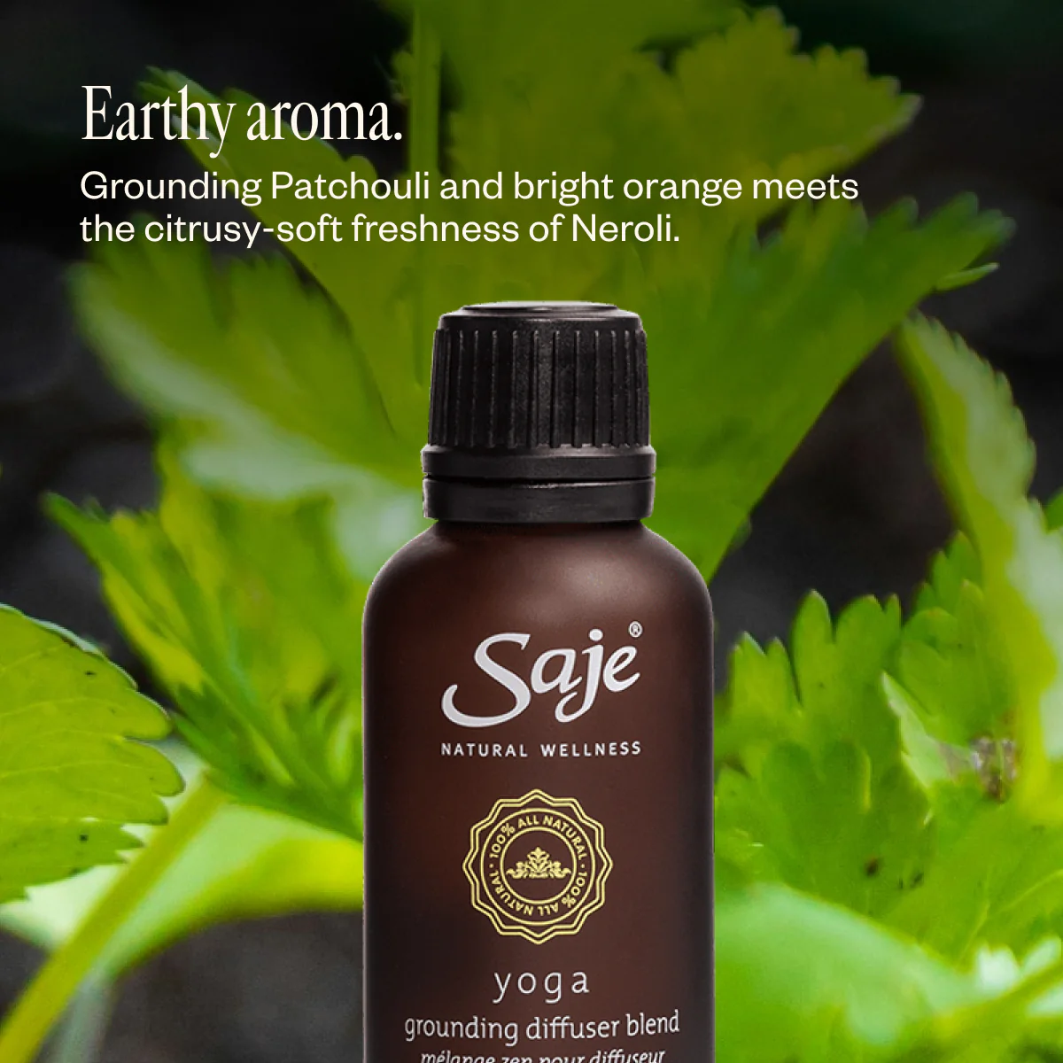 Yoga - Image 5