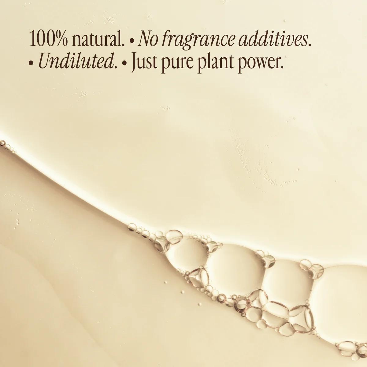 Yoga - Image 8